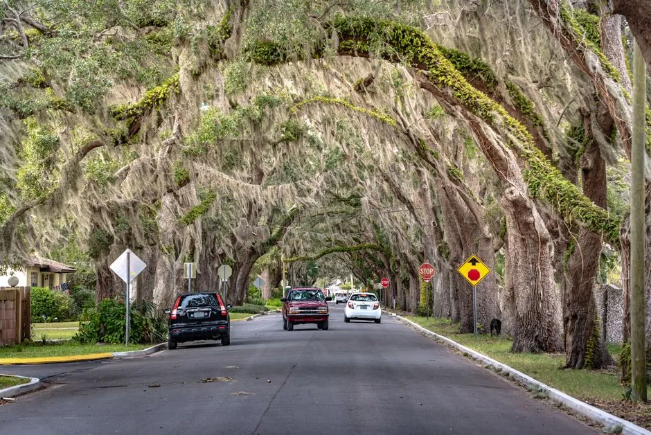How to Visit Cassadaga Respectfully